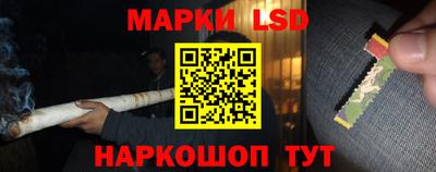 гашик Можга
