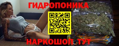 гашик Можга