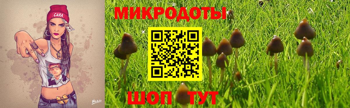 ТГК  Меф кристаллы  КОКАИН  Гашиш  Бошки Шишки  Вольск  Вход с VPN  ГАШИШ  MDMA  Сколько стоит 