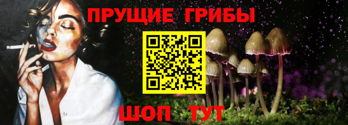 Вольск  Псилоцибиновые грибы мицелий  Псилоцибиновые грибы прущие грибы  купить наркотик  Вход с VPN 