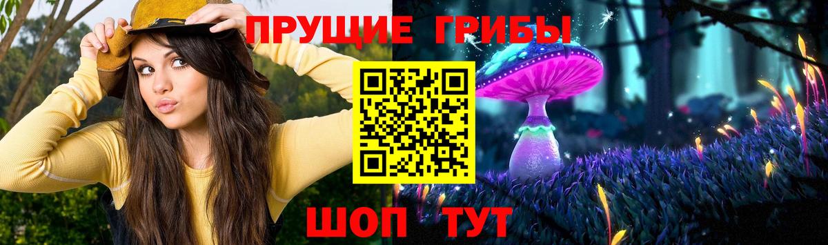 Галлюциногенные грибы мухоморы Вольск